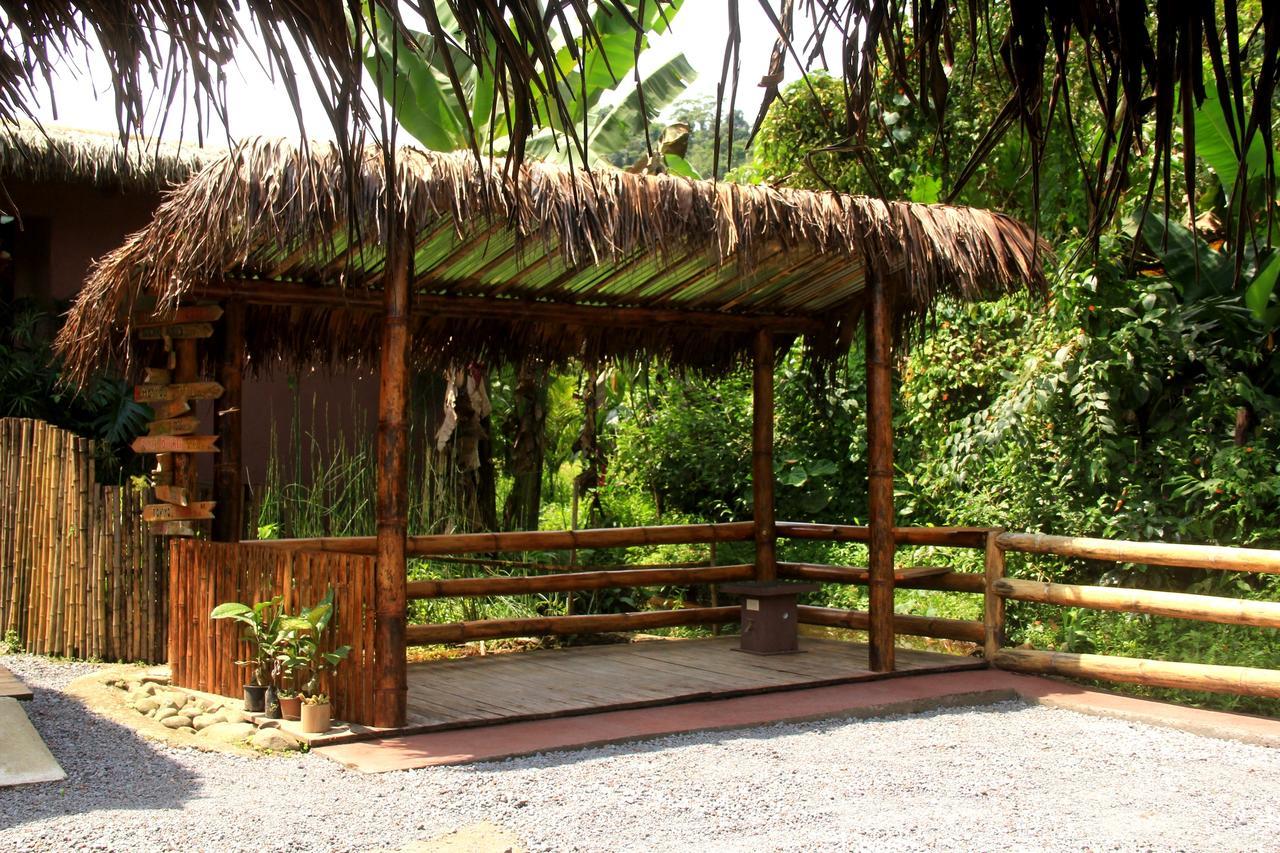La Bicok EcoLodge Mindo Exterior foto